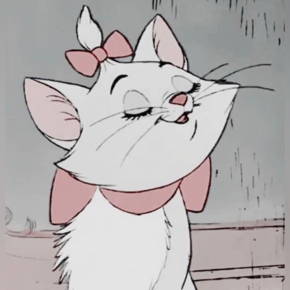 Meet your Posher, Kitten